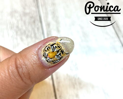 5D35FD2E-6045-4C7B-B5C9-9DF246D90F22